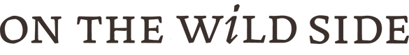 Cosmétiques - logo-OTWS