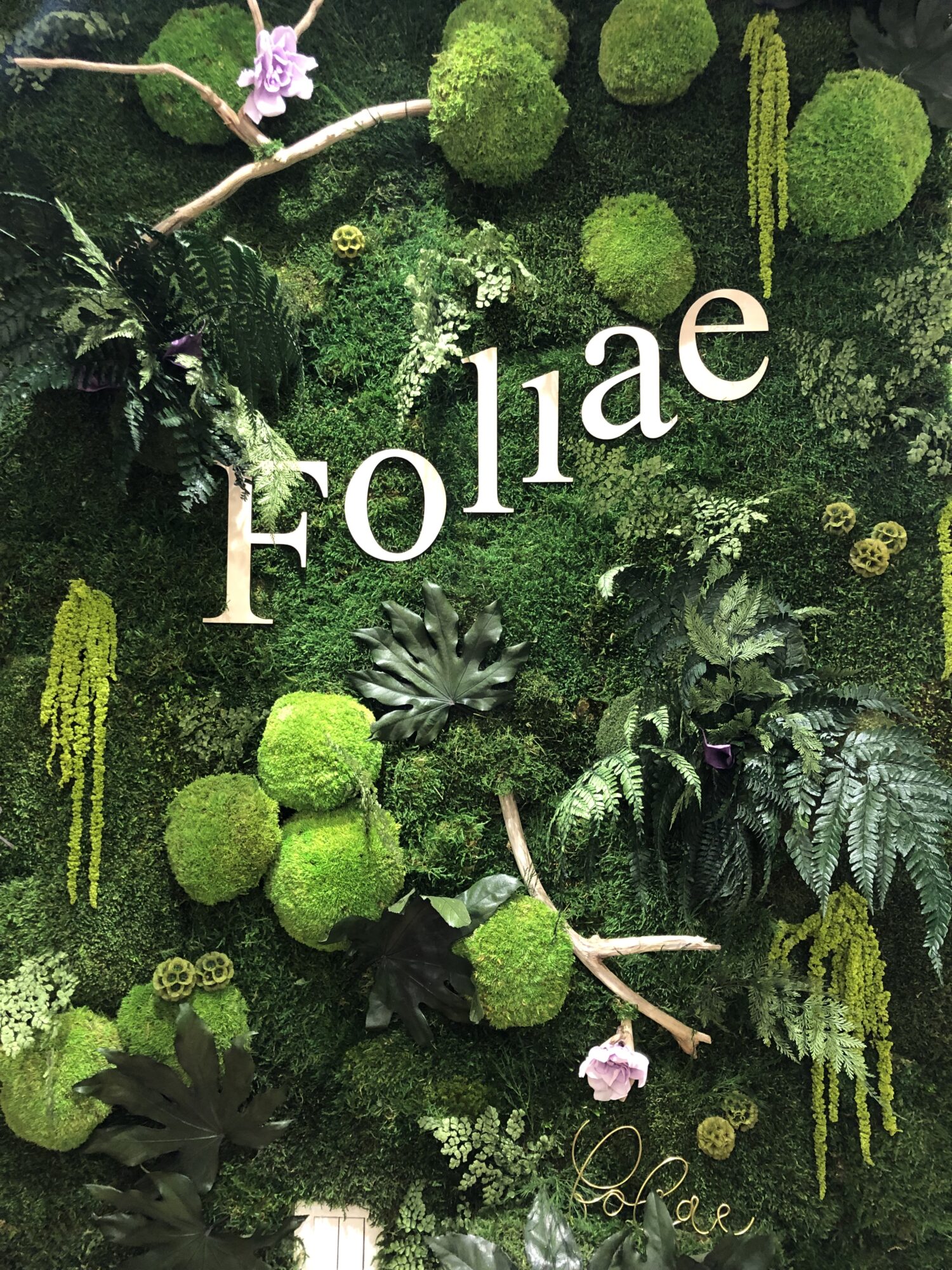 Foliae - foliaeconceptstorenosengagements