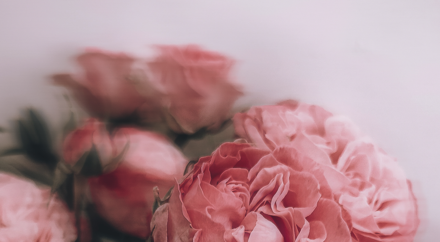 Les Fleurs Cristallisées - les-fleurs-cristallisees